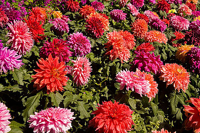 十大禁止的应用：疾驰于代码之外，方向盘上的荣耀对决-3