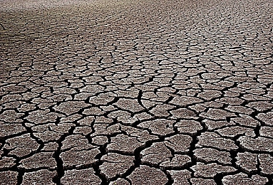 打扑克的剧烈运动：极速赛道，卡牌策略与狂飙竞速的融合对决-4