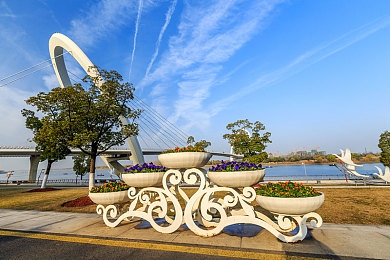 台北娜娜nana卡洗衣机是什么：都市奇谭中的网红救援与智能家电谜题-4