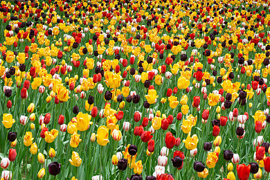 100种流氓软件下载安装：《极速流氓：非法街头》今日发售，当赛车遭遇数字犯罪，你的车载系统安全吗-3