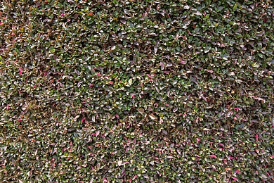 国产乱国产乱：近未来都市废土求生，国产改装神车竞速新游今日上线-4