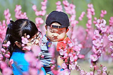 黄色软件APP华为：极限改装，代号H，虚拟世界的竞速艺术与策略博弈-5