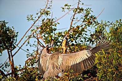 网站你应该明白什么意思不用下载：云端竞速新纪元，极限竞速地平线5全平台畅玩指南-5