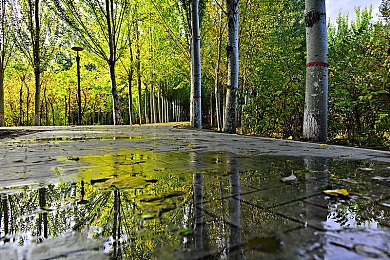 tiktok色板2.4.1.7最新版本更新内容：《极速调色师》重大版本上线，动态色彩赛道与全新物理引擎重塑竞速美学-4