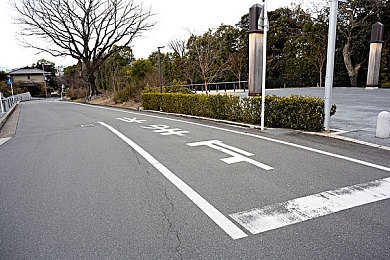 男人的阴茎插入女人的软件：《极速狂飙》全新拟真系统上线，实现人车合一驾驶革命-5