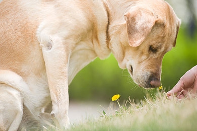 篮球体育生被绑炸精:赛道觉醒,跨界狂飙的逆袭传说-3
