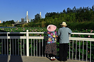 黄色成人网站APP：极限竞速地平线，墨西哥画卷上的个性车库与赛道艺术-5