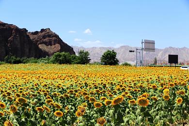 100种流眠软件安装:赛博车手终极指南,霓虹公路核心玩法与高阶技巧全解析-5