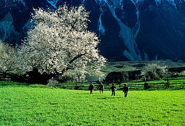 火辣福利app下载:极速狂影,赛道定制与昼夜竞驰的艺术-2
