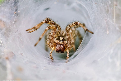 推特破解版9.1免费版安装在线使用：未来都市竞速新版本上线，动态天气与隐藏赛道全解析-5