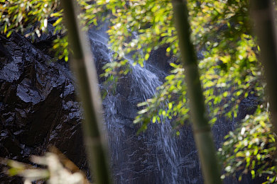 色色网站入口：《都市极速传说》隐藏改装店全攻略，霓虹涂装解锁终极车辆部件
