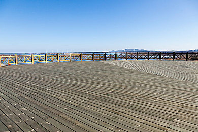 福利APP导航：本周季节赛事更新，限时解锁绝版豪车与终极资源指南-3