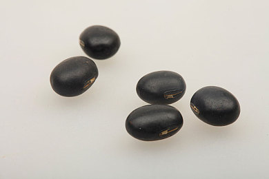 蜜桃色情：霓虹赛道暗藏视觉陷阱，独立竞速新作颠覆驾驶逻辑-5