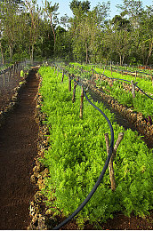 十大污：锈迹与尘埃，废土生存的荣耀印记-5
