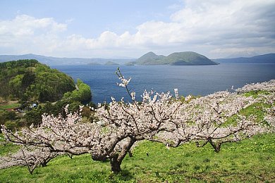 站长统计草莓视频：极速草莓引爆竞速热潮，深度改装与数据攻略解析-5