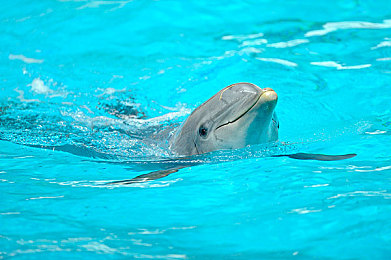 不打烊黑料：夜光城街头秘闻今日揭晓，动态黑料系统重塑竞速法则-5