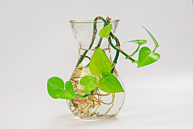 台湾佬成人中文网222vvv免费看：霓虹夜幕下的极速王朝，街头车神改装传奇之旅-5