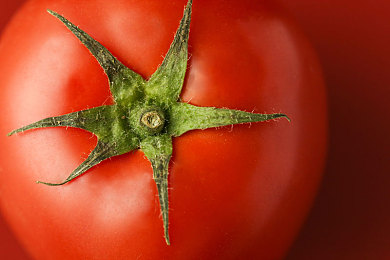 姬小满的乳液。：峡谷飘逸女战士，驾驭连招如超车般流畅-3