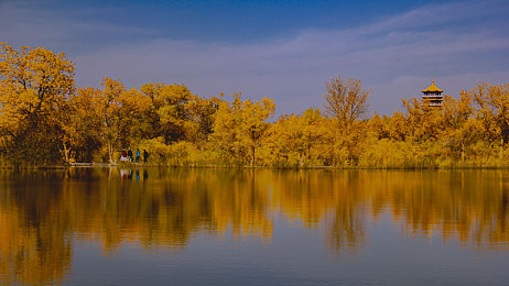 国精产品一区：东方极速，驰骋虚拟的中国制造革命-3