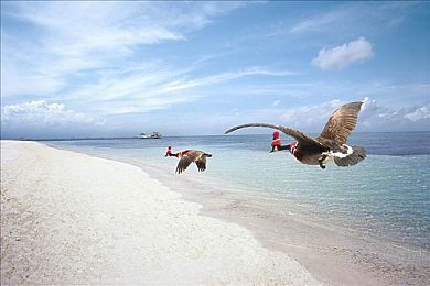 榴莲视频污：霓虹夜幕下的非法竞速，街头车神的双重人生-2