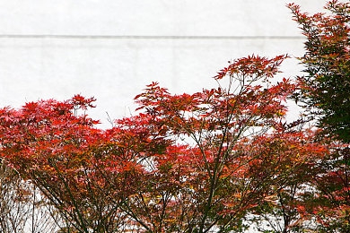 火辣辣福利污APP导航:霓虹都市狂飙,征服赛博街道的终极竞速指南-3