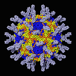 两个人看的www中文在线观看视频：双人共驭，极速同心，协作竞速新纪元-5