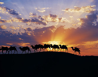 差差：毫厘之间的艺术，驾驭不完美的完美赛道-3