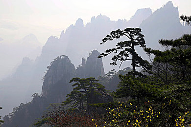 操大逼软件下载：极速幻境，驾驭未来，风驰电掣的虚拟竞速之旅-3