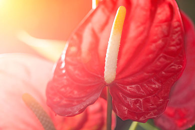 33集韩国演艺圈最悲伤的歌曲：雨夜电台，驶向记忆尽头的告别之旅-3