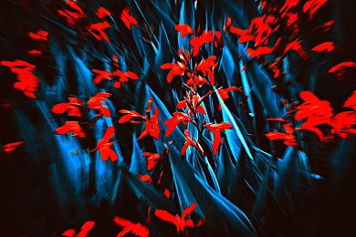 十大禁止安装的应用：车载游戏安全警报，这些娱乐应用可能危及行车安全-4