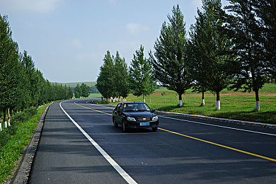 公交掀裙子从后面进去：都市潜行者，隐形穿梭的交通艺术竞速-5