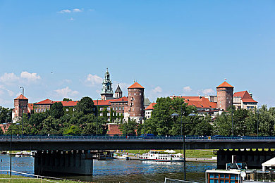 猎奇研究院爆料最新一期内容分析：在疯狂边缘狂飙，体验速度与理智的终极对决-4