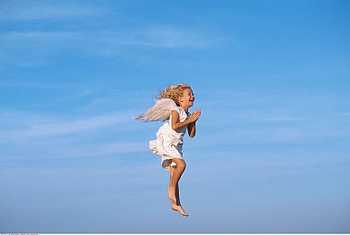 瑞典农场4个女儿：田园物语，四大产业交织的现代农耕诗篇-4