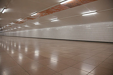 一小孩妈妈胡萝卜黄：金色原野上的家庭竞速物语-2