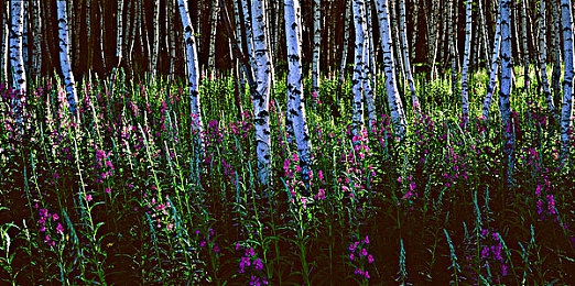 黄软站：当交通神经崩溃，手握方向盘成为最后的人类协议-4