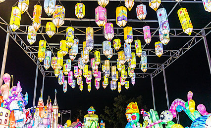 真人拔萝卜网站：田园赛道狂飙，收获速度与萝卜的创意竞速之旅-3