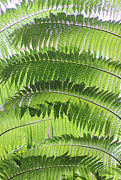 特大黑人娇小亚洲女：双角色竞速新作上市，互补驾驶突破传统玩法-3