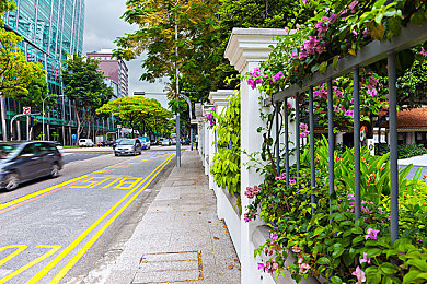 五月花丁香婷婷：《极限竞速：地平线5》推出花季更新，动态花海与车辆调校打造沉浸竞速之旅-2