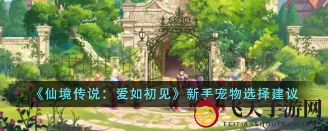 《仙境传说：爱初见》新手攻略，三大神宠助力畅游江湖