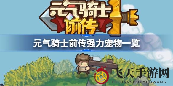 《元气骑士》中组建梦幻战队，揭秘神秘宠物技能组合攻略