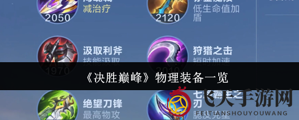 《决胜巅峰》装备攻略：揭秘顶级物理装备，助你成为战场霸主