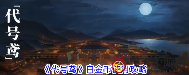 《代号鸢》白金币使用攻略