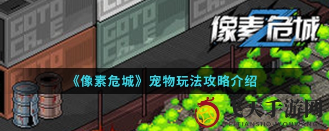 《像素危城》解锁成长新篇章：宠物进阶指南，战力飙升之道