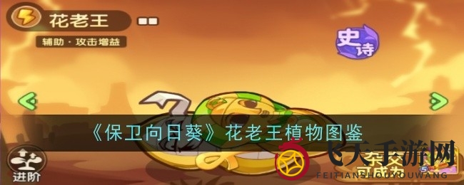 《保卫向日葵》神秘花老王解析：雷系植物攻击力大提升，升星效果揭秘