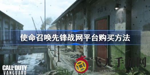 《使命召唤18：先锋》战网预购教程，轻松畅玩海外服务器攻略大揭秘