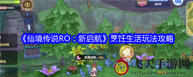 《仙境传说RO：新启航》烹饪奥秘大揭秘，探索食材采集与天气影响技巧