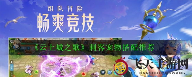 《云上城之歌》刺客宠物搭配秘籍，解锁战斗策略新篇章