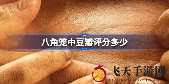 《八角笼》热映好评纷至，王宝强导演作品口碑两极，剧情热议不断