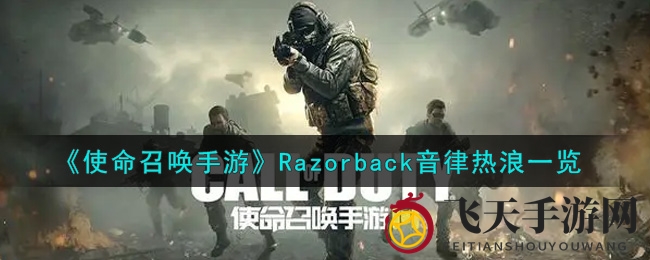 《使命召唤手游》Razorback音律热浪：揭秘神秘枪身，玩家心选之选