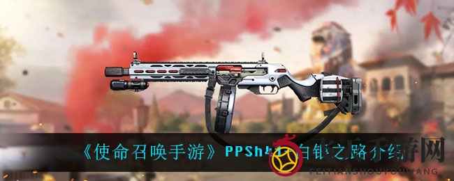 《使命召唤手游》PPSh41-白银之路解析：银色传奇枪械，战场新秀大揭秘